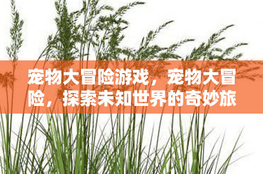 宠物大冒险游戏，宠物大冒险，探索未知世界的奇妙旅程