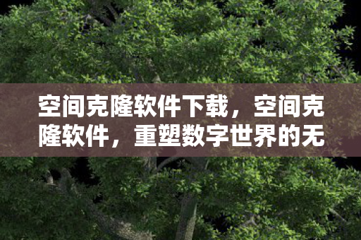 空间克隆软件下载，空间克隆软件，重塑数字世界的无限可能