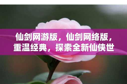 仙剑网游版，仙剑网络版，重温经典，探索全新仙侠世界