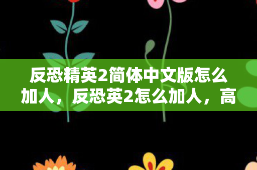 反恐精英2简体中文版怎么加人,反恐英2怎么加人,高效策略与技巧 反恐精英2简体中文版怎么加人,反恐英2怎么加人,高效策略与技巧