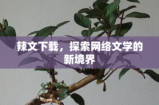 辣文下载,探索网络文学的新境界 辣文下载,探索网络文学的新境界