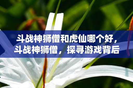 斗战神狮僧和虎仙哪个好,斗战神狮僧,探寻游戏背后的文化与创新 斗战神狮僧和虎仙哪个好,斗战神狮僧,探寻游戏背后的文化与创新