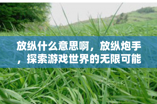 放纵什么意思啊，放纵炮手，探索游戏世界的无限可能