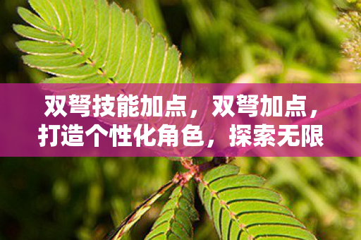 双弩技能加点,双弩加点,打造个性化角色,探索无限可能 双弩技能加点,双弩加点,打造个性化角色,探索无限可能