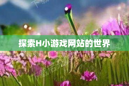 探索H小游戏网站的世界 探索H小游戏网站的世界