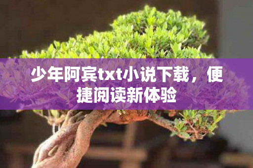 少年阿宾txt小说下载,便捷阅读新体验 少年阿宾txt小说下载,便捷阅读新体验