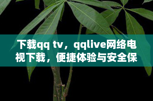 下载qq tv,qqlive网络电视下载,便捷体验与安全保障的完美结合 下载qq tv,qqlive网络电视下载,便捷体验与安全保障的完美结合