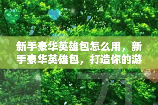 新手豪华英雄包怎么用，新手豪华英雄包，打造你的游戏之旅