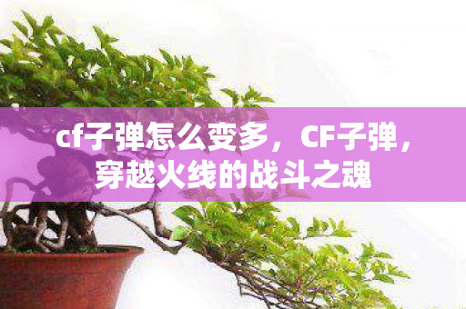 cf子弹怎么变多，CF子弹，穿越火线的战斗之魂