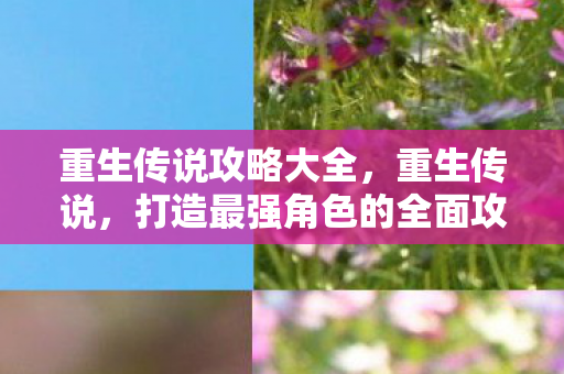 重生传说攻略大全，重生传说，打造最强角色的全面攻略