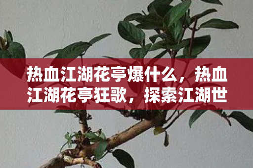 热血江湖花亭爆什么,热血江湖花亭狂歌,探索江湖世界的无限可能 热血江湖花亭爆什么,热血江湖花亭狂歌,探索江湖世界的无限可能