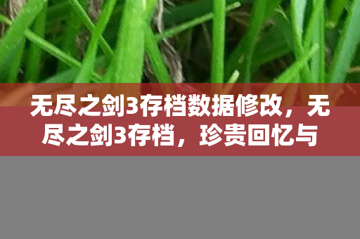 无尽之剑3存档数据修改,无尽之剑3存档,珍贵回忆与策略指南 无尽之剑3存档数据修改,无尽之剑3存档,珍贵回忆与策略指南