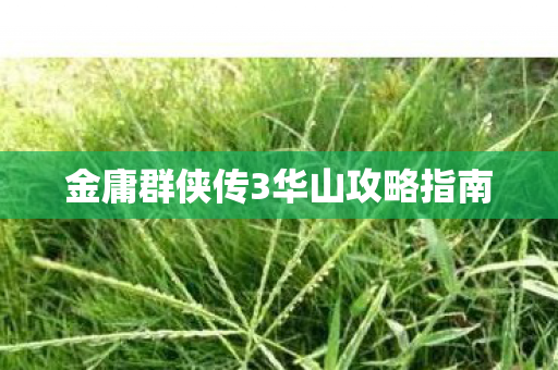 金庸群侠传3华山攻略指南