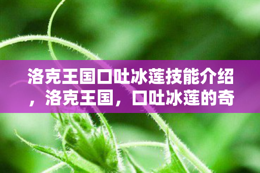 洛克王国口吐冰莲技能介绍，洛克王国，口吐冰莲的奇幻之旅