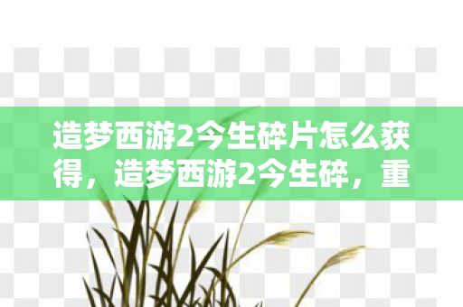 造梦西游2今生碎片怎么获得,造梦西游2今生碎,重温经典,再续前缘 造梦西游2今生碎片怎么获得,造梦西游2今生碎,重温经典,再续前缘