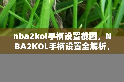 nba2kol手柄设置截图,NBA2KOL手柄设置全解析,打造个性化操作体验 nba2kol手柄设置截图,NBA2KOL手柄设置全解析,打造个性化操作体验