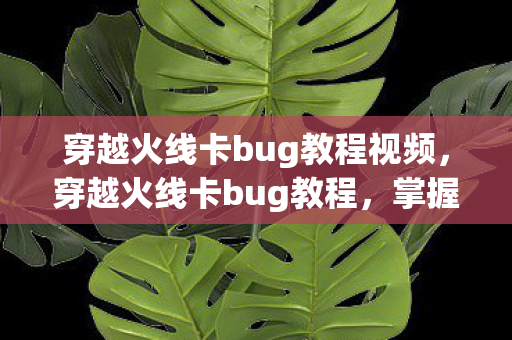 穿越火线卡bug教程视频,穿越火线卡bug教程,掌握游戏漏洞的奥秘 穿越火线卡bug教程视频,穿越火线卡bug教程,掌握游戏漏洞的奥秘