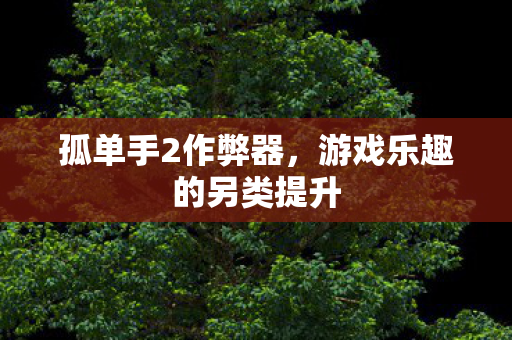 孤单手2作弊器，游戏乐趣的另类提升