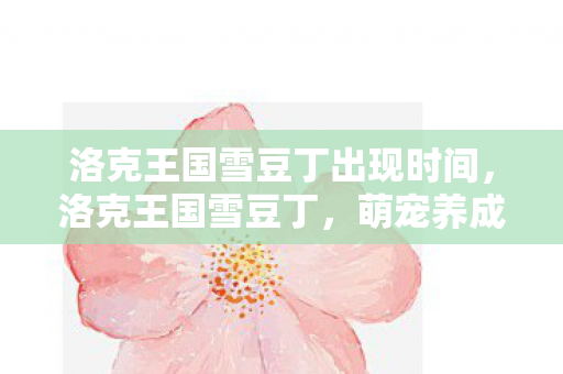 洛克王国雪豆丁出现时间,洛克王国雪豆丁,萌宠养成与策略战斗的乐趣 洛克王国雪豆丁出现时间,洛克王国雪豆丁,萌宠养成与策略战斗的乐趣