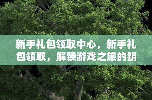 新手礼包领取中心，新手礼包领取，解锁游戏之旅的钥匙