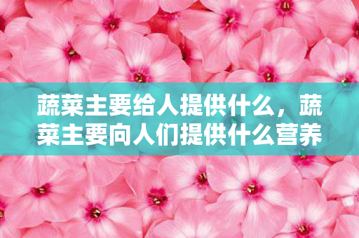蔬菜主要给人提供什么,蔬菜主要向人们提供什么营养 蔬菜主要给人提供什么,蔬菜主要向人们提供什么营养