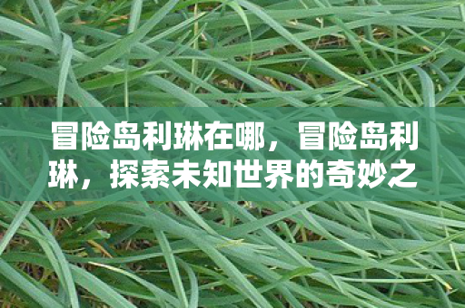 冒险岛利琳在哪，冒险岛利琳，探索未知世界的奇妙之旅