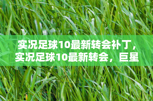 实况足球10最新转会补丁,实况足球10最新转会,巨星云集,转会市场风起云涌 实况足球10最新转会补丁,实况足球10最新转会,巨星云集,转会市场风起云涌