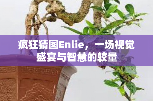 疯狂猜图Enlie，一场视觉盛宴与智慧的较量