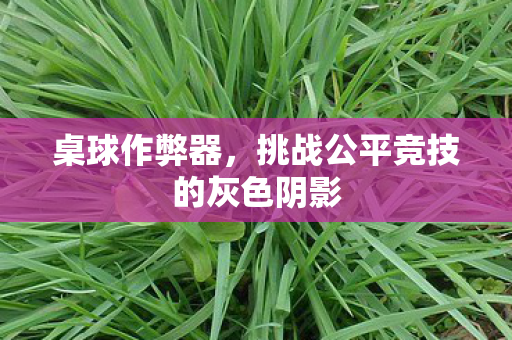 桌球作弊器，挑战公平竞技的灰色阴影