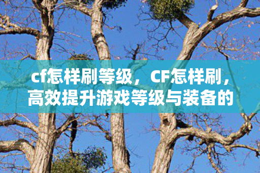 cf怎样刷等级,CF怎样刷,高效提升游戏等级与装备的技巧 cf怎样刷等级,CF怎样刷,高效提升游戏等级与装备的技巧