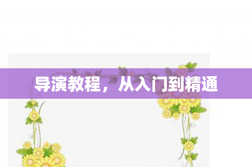 导演教程，从入门到精通