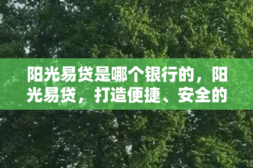 阳光易贷是哪个银行的，阳光易贷，打造便捷、安全的借贷新体验