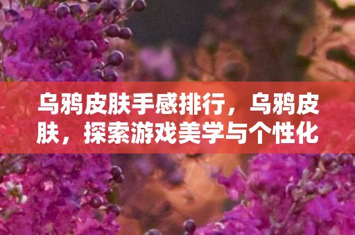 乌鸦皮肤手感排行，乌鸦皮肤，探索游戏美学与个性化表达的边界