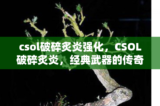 csol破碎炙炎强化,CSOL破碎炙炎,经典武器的传奇故事 csol破碎炙炎强化,CSOL破碎炙炎,经典武器的传奇故事