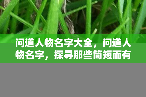 问道人物名字大全，问道人物名字，探寻那些简短而有力的名字背后的故事