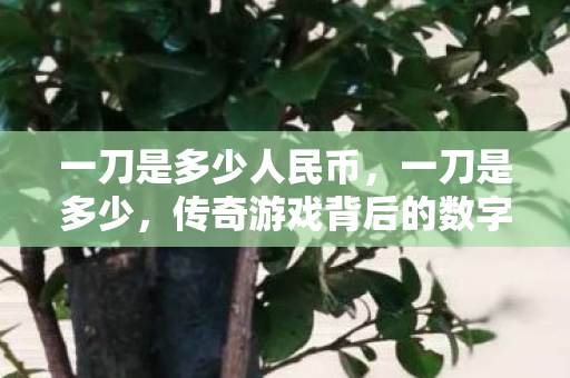 一刀是多少人民币，一刀是多少，传奇游戏背后的数字与故事