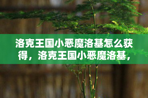 洛克王国小恶魔洛基怎么获得,洛克王国小恶魔洛基,探索神秘王国的奇妙之旅 洛克王国小恶魔洛基怎么获得,洛克王国小恶魔洛基,探索神秘王国的奇妙之旅