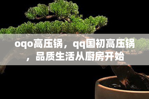 oqo高压锅,qq国初高压锅,品质生活从厨房开始 oqo高压锅,qq国初高压锅,品质生活从厨房开始