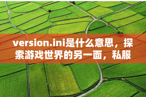 version.ini是什么意思，探索游戏世界的另一面，私服游戏的魅力与争议