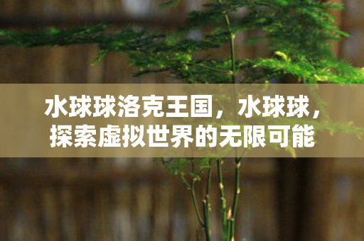 水球球洛克王国,水球球,探索虚拟世界的无限可能 水球球洛克王国,水球球,探索虚拟世界的无限可能