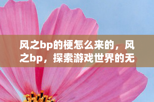 风之bp的梗怎么来的,风之bp,探索游戏世界的无限可能 风之bp的梗怎么来的,风之bp,探索游戏世界的无限可能