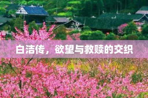 白洁传,欲望与救赎的交织 白洁传,欲望与救赎的交织