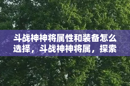 斗战神神将属性和装备怎么选择，斗战神神将属，探索游戏背后的策略与技巧