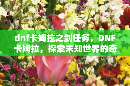 dnf卡姆拉之剑任务,DNF卡姆拉,探索未知世界的奇妙冒险 dnf卡姆拉之剑任务,DNF卡姆拉,探索未知世界的奇妙冒险