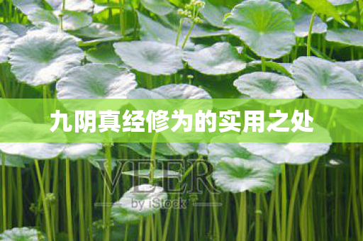 九阴真经修为的实用之处