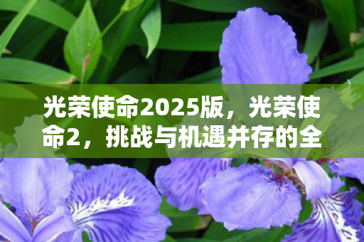 光荣使命2025版，光荣使命2，挑战与机遇并存的全新战场