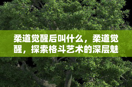 柔道觉醒后叫什么,柔道觉醒,探索格斗艺术的深层魅力 柔道觉醒后叫什么,柔道觉醒,探索格斗艺术的深层魅力