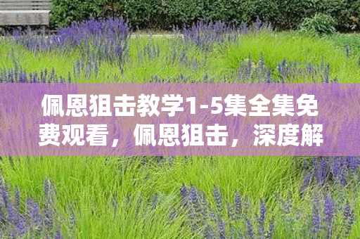 佩恩狙击教学1-5集全集免费观看，佩恩狙击，深度解析游戏内的高效战术与策略