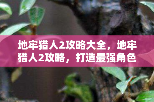 地牢猎人2攻略大全,地牢猎人2攻略,打造最强角色的全面指南 地牢猎人2攻略大全,地牢猎人2攻略,打造最强角色的全面指南