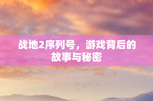 战地2序列号，游戏背后的故事与秘密